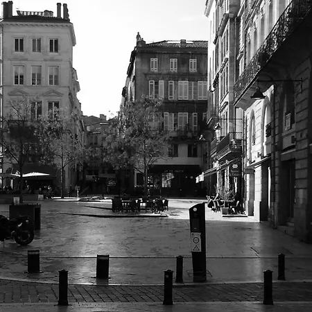 Le Cosy - Rue Ausone Bordeaux
