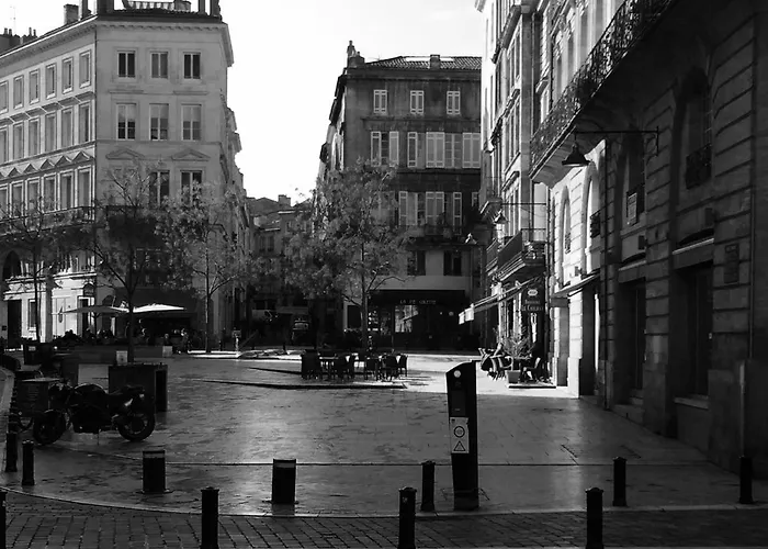 Le Cosy - Rue Ausone Bordeaux